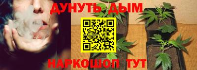 мдпв Лесосибирск