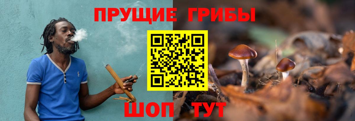 Екатеринбург  купить закладку  Вход с VPN  Галлюциногенные грибы MAGIC MUSHROOMS  Псилоцибиновые грибы ЛСД 